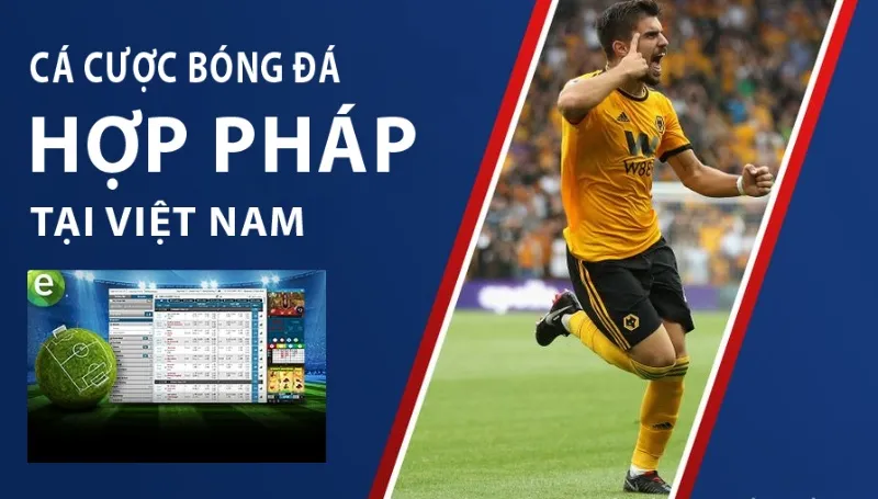 Tại Việt Nam có được chơi cá cược bóng đá hợp pháp không?